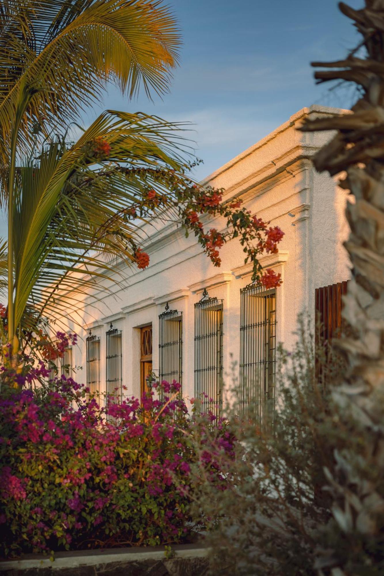 Baja Club Hotel, La Paz, Baja California Sur, A Member Of Design Hotels Extérieur photo